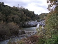 cantara gurne23122011 070